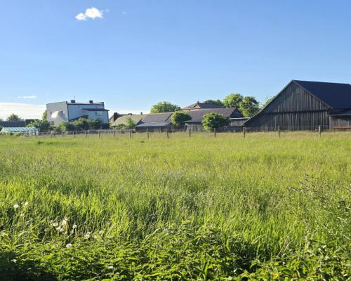 Działka w pięknej Siemianówce!