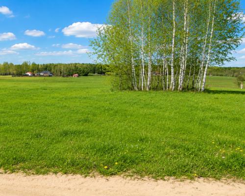Działka budowlana 1000 m2, Tołcze