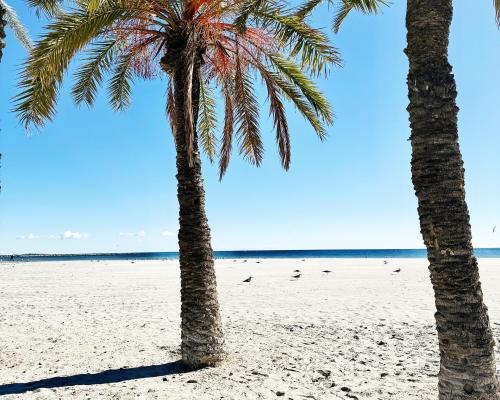 Apartamenty w Santa Pola
