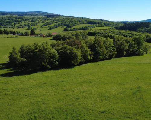 Działka 4090 m² z warunkami zabudowy – Boreczna