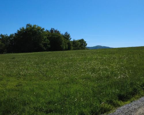 Działka 4090 m² z warunkami zabudowy – Boreczna