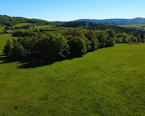 Działka 4090 m² z warunkami zabudowy – Boreczna