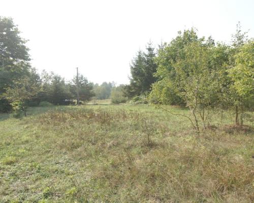 Działka 16 ar w miejsc. Gołąb pow. Lubartowski