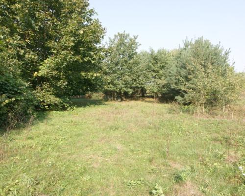 Działka 16 ar w miejsc. Gołąb pow. Lubartowski