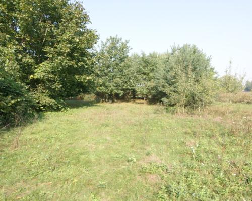 Działka 16 ar w miejsc. Gołąb pow. Lubartowski