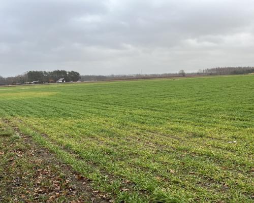 Działka budowlana gm. Przyłęk mazowieckie
