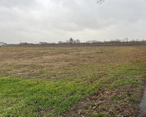 Działka budowlana gm. Przyłęk mazowieckie