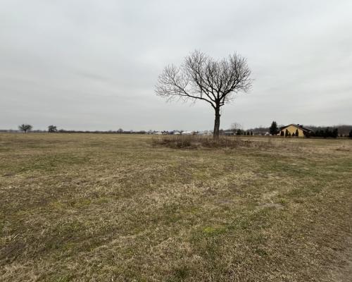 Działka 6462 z widokiem na muzeum w Czarnolesie