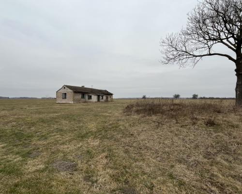 Działka 6462 z widokiem na muzeum w Czarnolesie