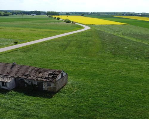 Działka 6462 z widokiem na muzeum w Czarnolesie