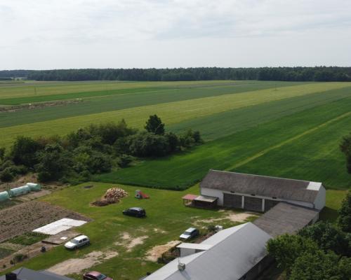 Działka rolna 3 ha w Jasieńcu Soleckim (zwoleński)