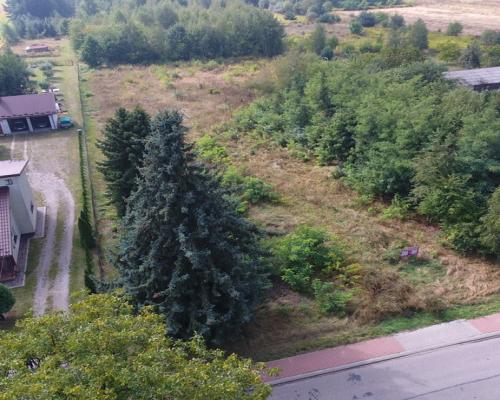 Piękna działka w pobliżu jeziora