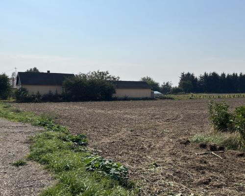 Działka rolno-budowlana 0,31 ha w Gołębiu k/Puław.