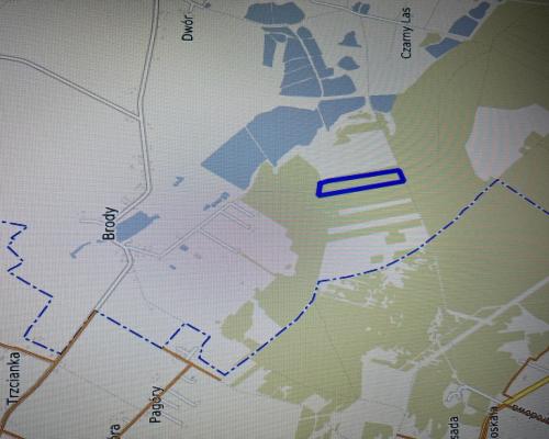 Działka leśna 3,90 ha w Brodach  gm. Pierzchnica.