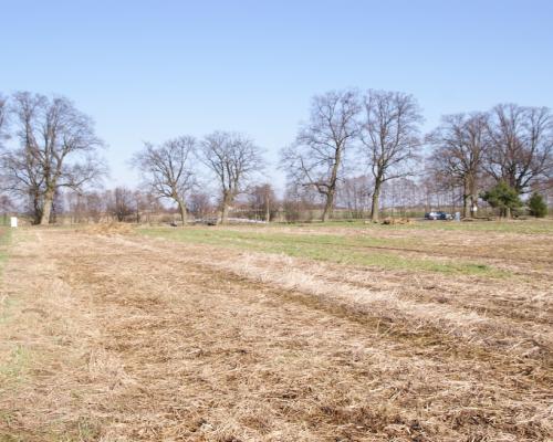 Działka budowlana Stoczek Kolonia 18ar lub więcej