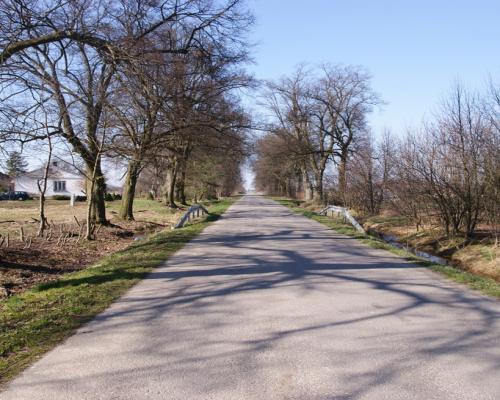 Działka budowlana Stoczek Kolonia 18ar lub więcej