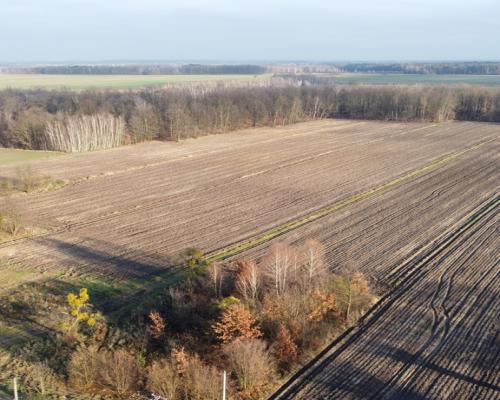 Działka (1182 m2) z WZ w Jabłonowie gm. Policzna.