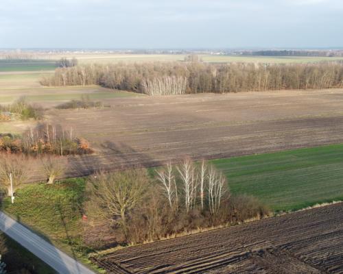 Działka (1182 m2) z WZ w Jabłonowie gm. Policzna.