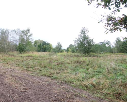 Działka budowlana ok.20 ar Gołąb g. Michów
