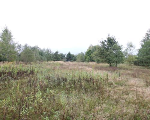 Działka budowlana ok.20 ar Gołąb g. Michów
