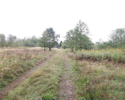 Działka budowlana ok.20 ar Gołąb g. Michów