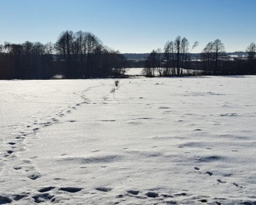 Piękna działka rolno-budowlana, Żminne, Parczew.