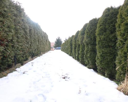 Działka budowlana Turka 18a (tylko 8km do Lublina)