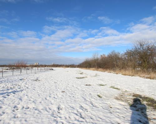 Działka przemysłowo budowlana 63a Lublin Zadębie