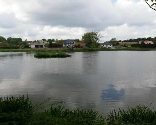 Działka o pow. 4,6 ha w Klementowicach gm. Kurów.