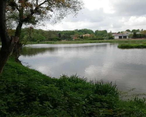 Działka o pow. 4,6 ha w Klementowicach gm. Kurów.