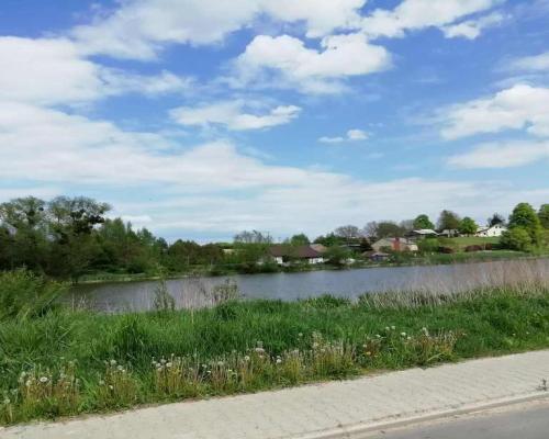 Działka o pow. 4,6 ha w Klementowicach gm. Kurów.