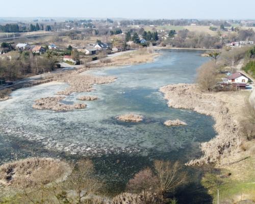 Działka o pow. 4,6 ha w Klementowicach gm. Kurów.
