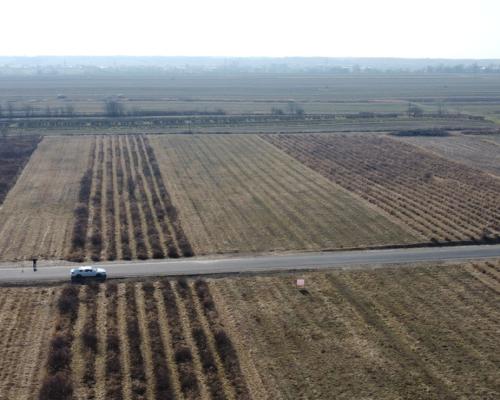 Działka 22 MN 1072 m2 w Końskowoli gm. Puławy.