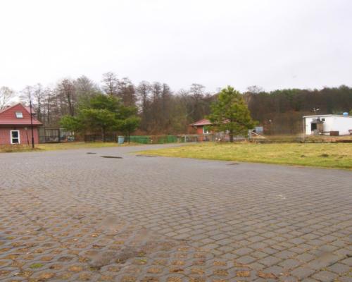 Działająca dochodowa agroturystyka 1.26 ha, Lublin