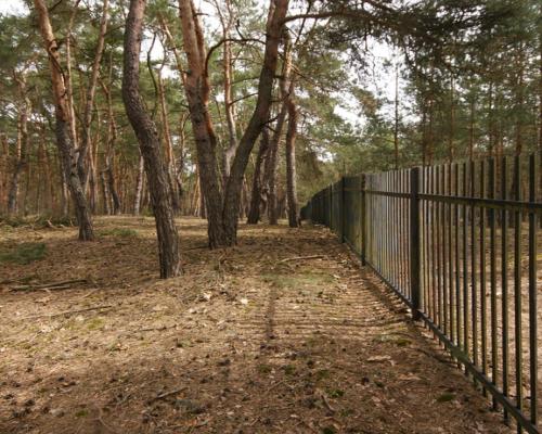 5,42 ha, Stawy rybne, las, Zemborzyce, Lublin