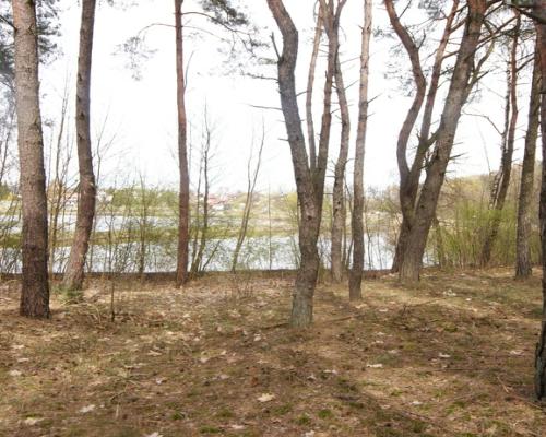 5,42 ha, Stawy rybne, las, Zemborzyce, Lublin
