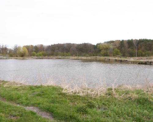 5,42 ha, Stawy rybne, las, Zemborzyce, Lublin