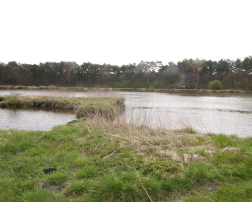 5,42 ha, Stawy rybne, las, Zemborzyce, Lublin