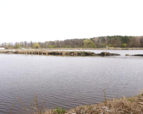 5,42 ha, Stawy rybne, las, Zemborzyce, Lublin
