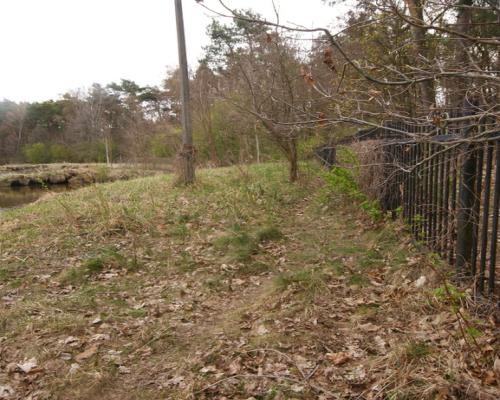 5,42 ha, Stawy rybne, las, Zemborzyce, Lublin