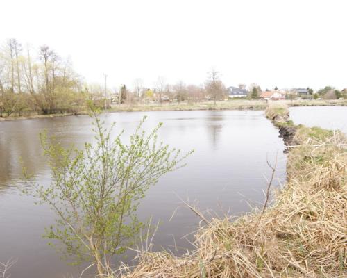 5,42 ha, Stawy rybne, las, Zemborzyce, Lublin