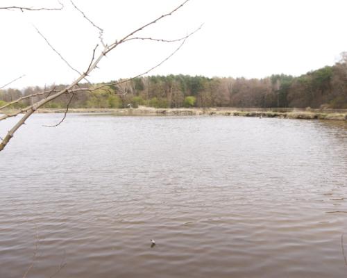 5,42 ha, Stawy rybne, las, Zemborzyce, Lublin