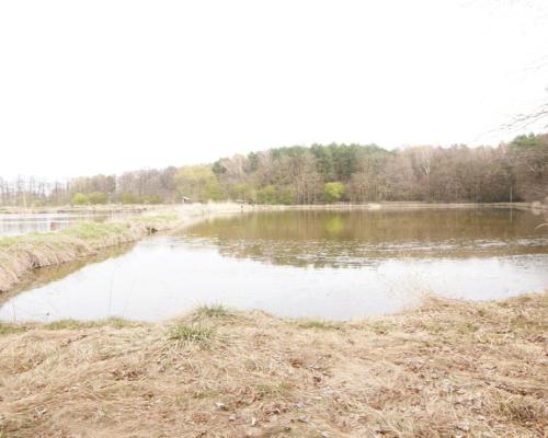 5,42 ha, Stawy rybne, las, Zemborzyce, Lublin