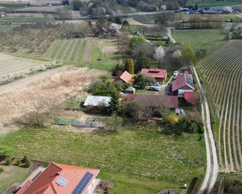Siedlisko 3931 m2  Skowieszynek  Kazimierz Dolny.