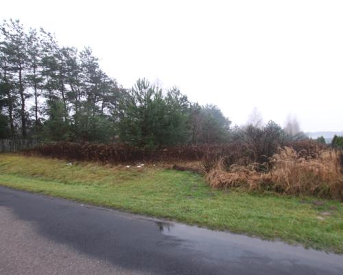 Działka rolno-budowlana 1,52 ha Dąbrowa gm. Ludwin