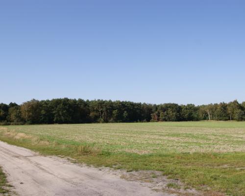 Duża działka jezioro Krasne (podział na 8 działek)