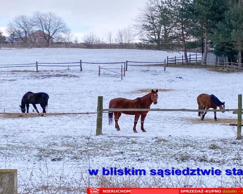 Siedlisko na wsi 35 km od Lublina.