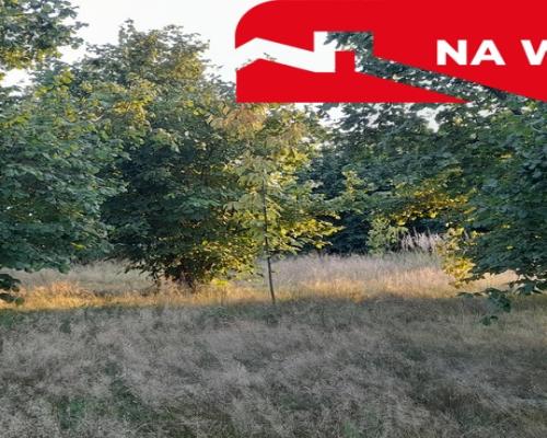 Ładna, uzbrojona działka pod lasem-33a-Wilczopole