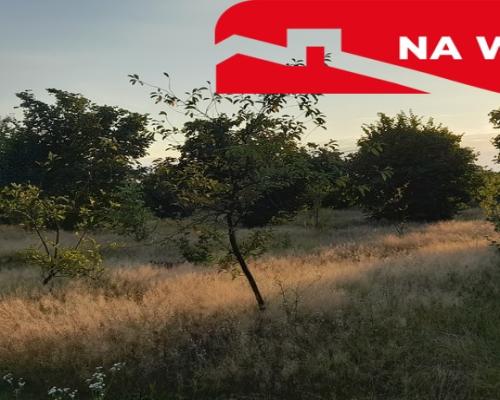 Ładna, uzbrojona działka pod lasem-33a-Wilczopole
