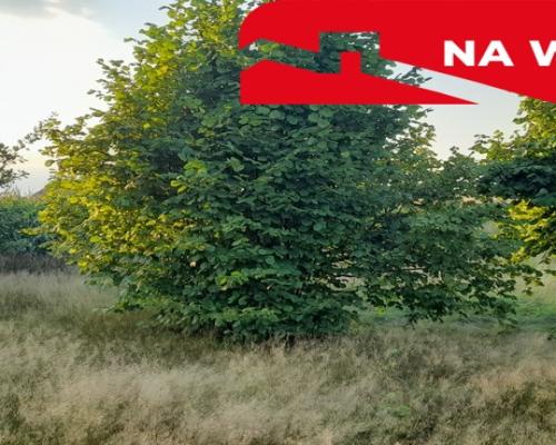 Ładna, uzbrojona działka pod lasem-33a-Wilczopole